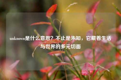 unknown是什么意思?不止是未知,它藏着生活与世界的多元切面