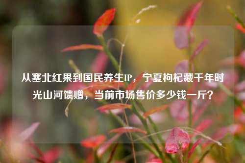从塞北红果到国民养生IP,宁夏枸杞藏千年时光山河馈赠,当前市场售价多少钱一斤?