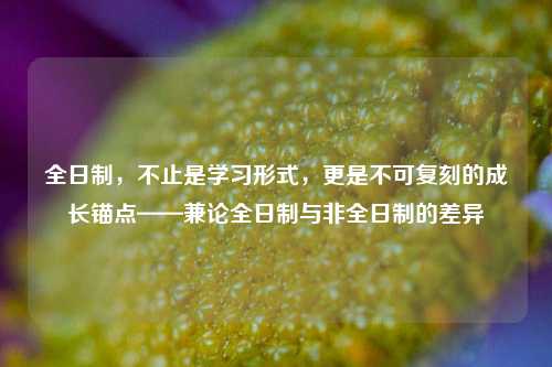 全日制，不止是学习形式，更是不可复刻的成长锚点——兼论全日制与非全日制的差异